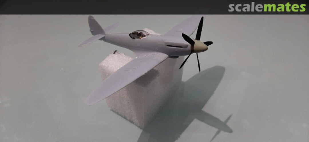 View album, image #1 View album, image #1