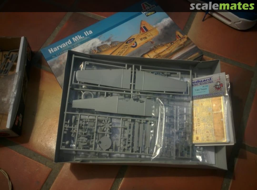 View album, image #1 View album, image #1