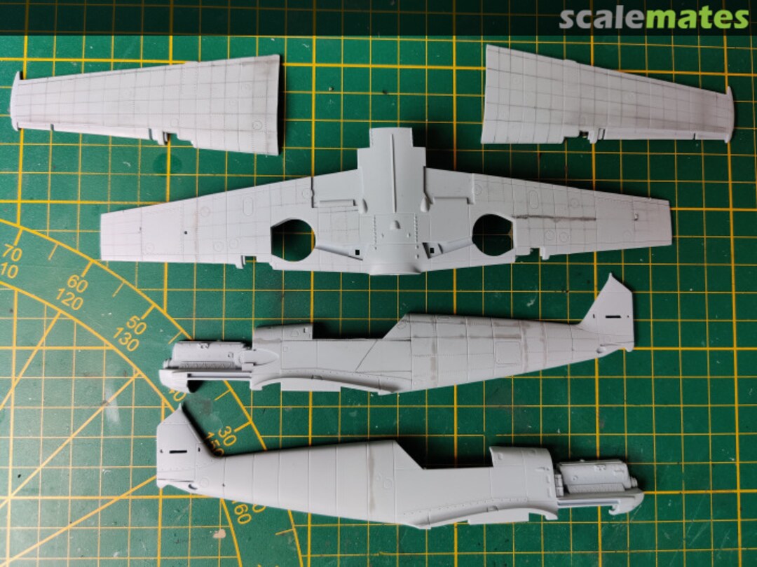 View album, image #1