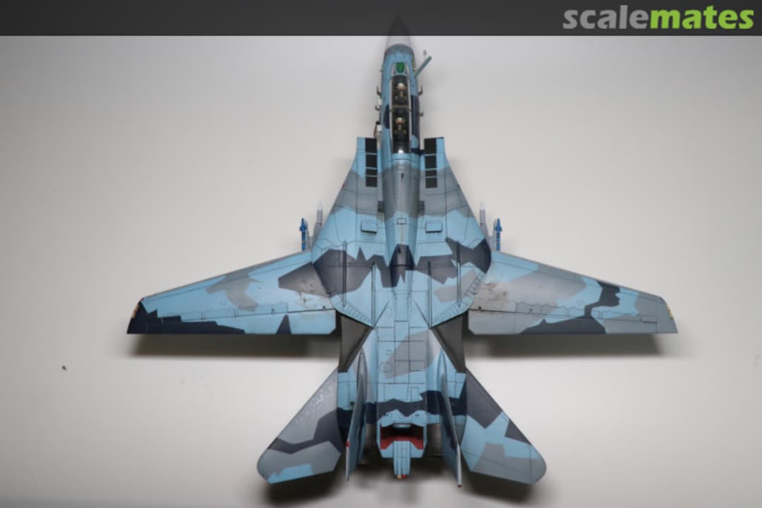 View album, image #1 View album, image #1