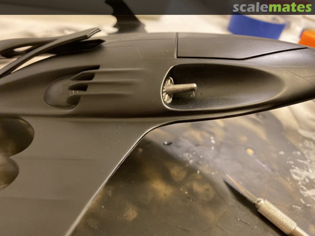 View album, image #8 View album, image #8