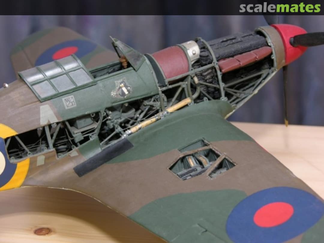 View album, image #10 View album, image #10