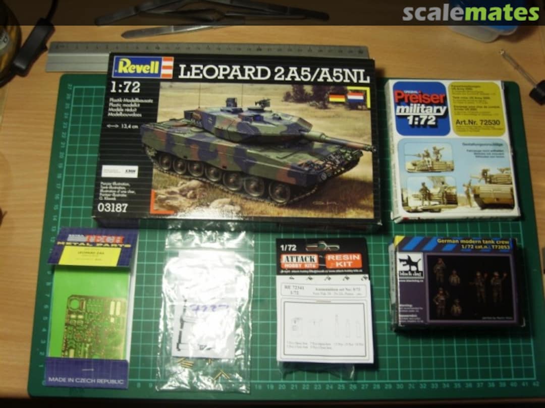 View album, image #1 View album, image #1