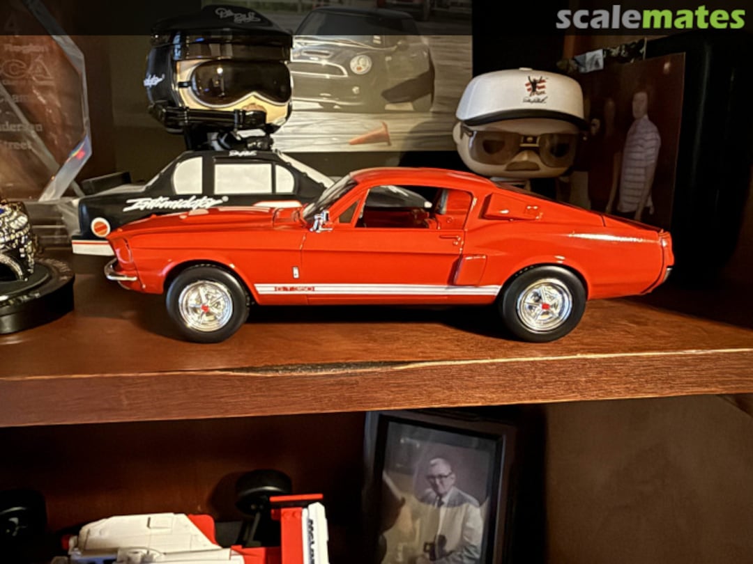 View album, image #1 View album, image #1