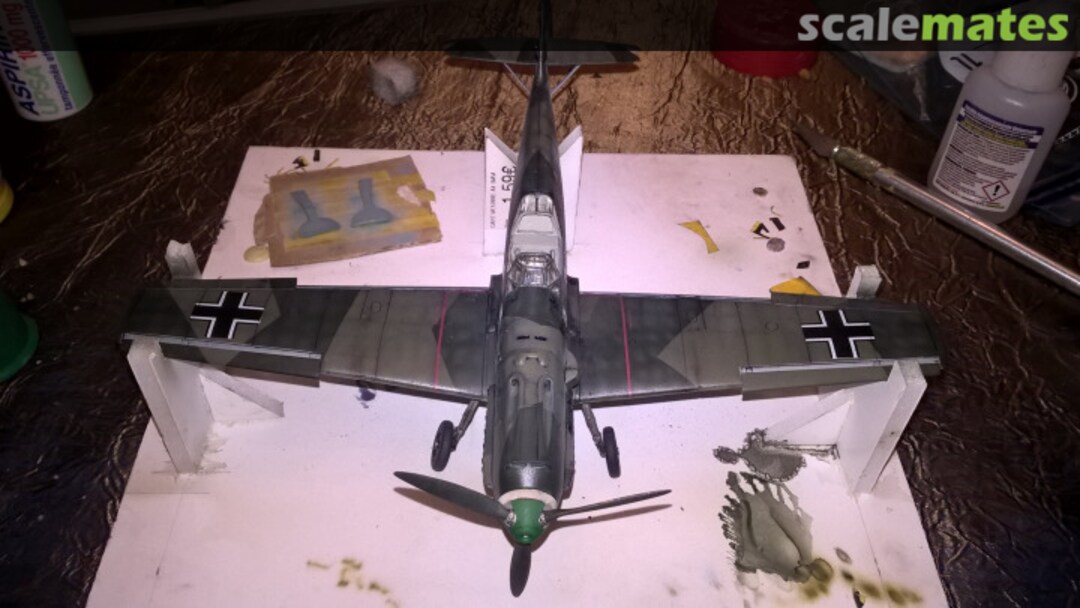 View album, image #70 View album, image #70