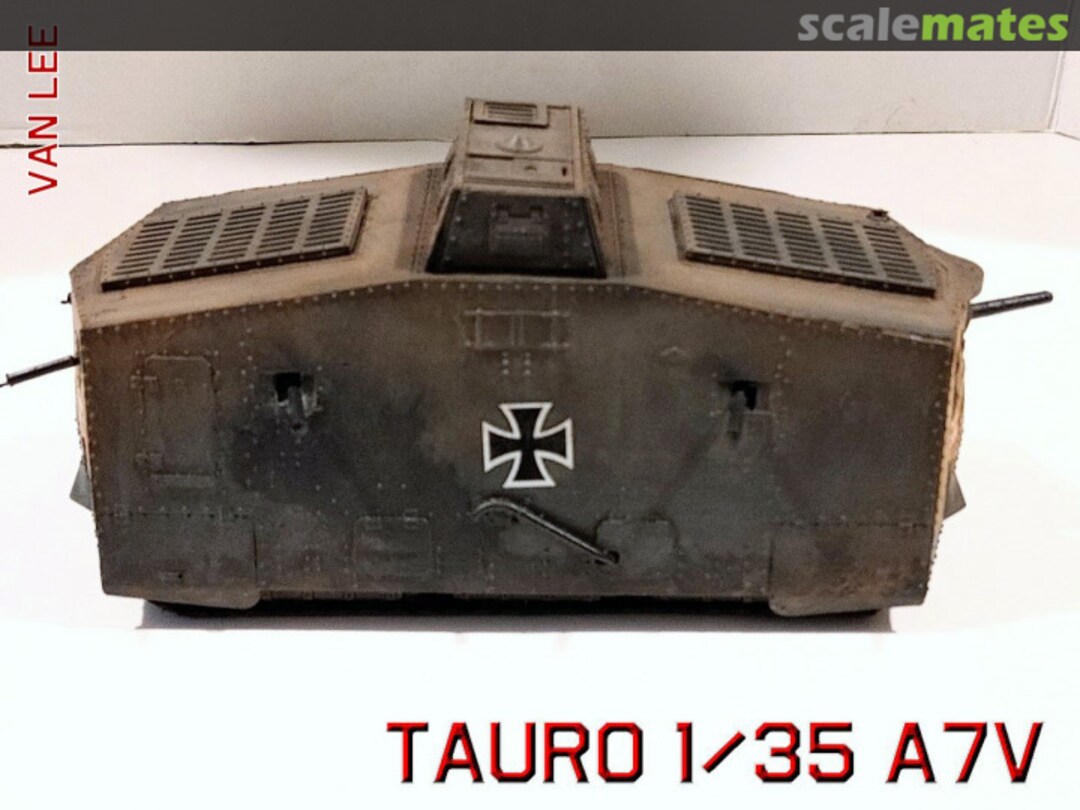 View album, image #1 View album, image #1