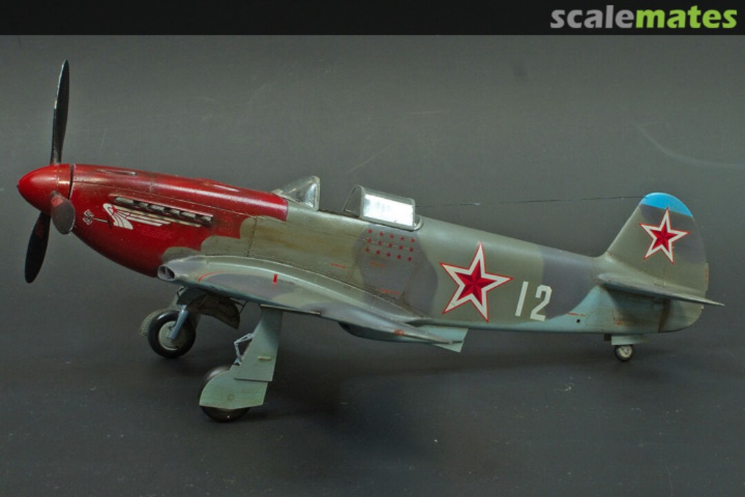 View album, image #1 View album, image #1