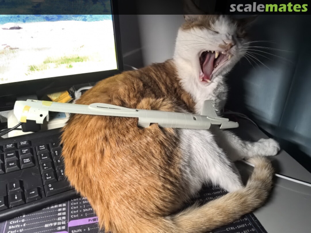 View album, image #1