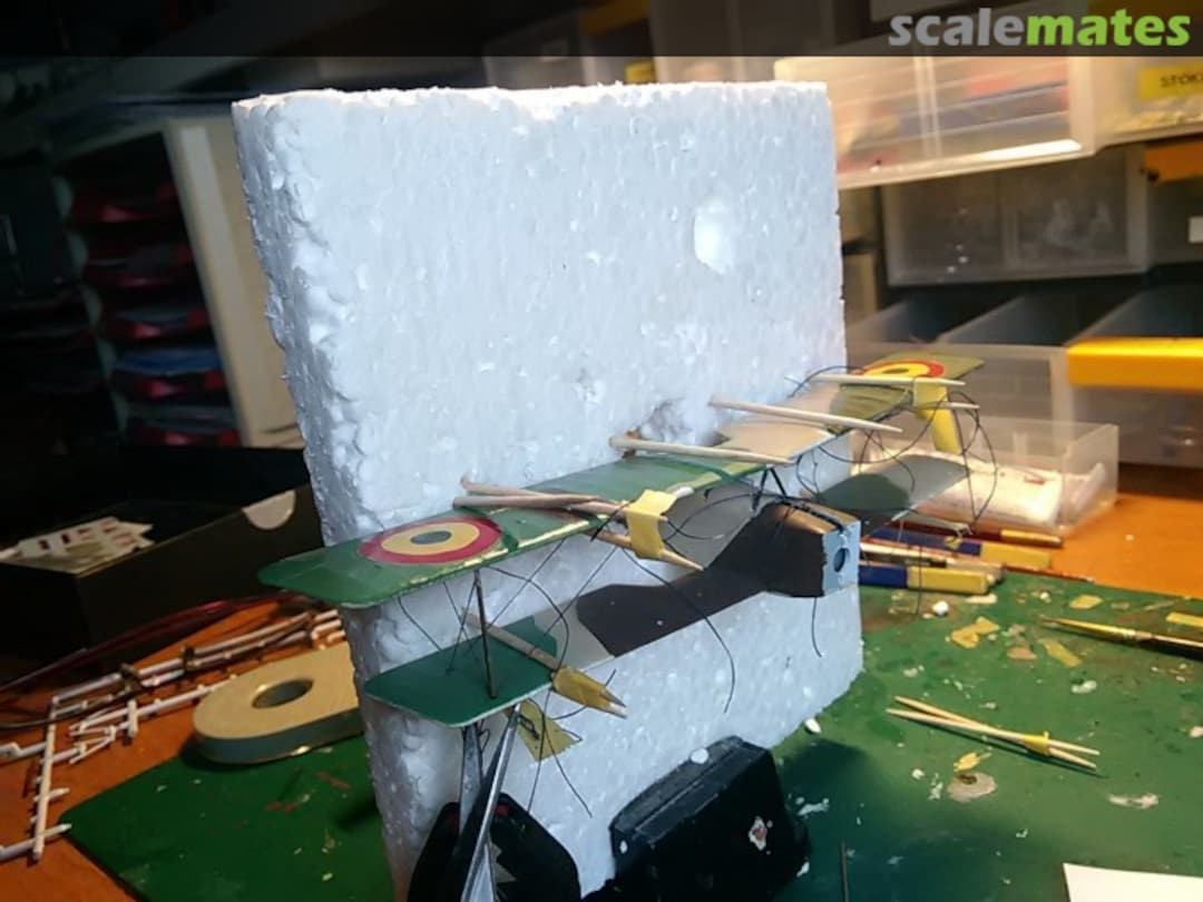 View album, image #1 View album, image #1