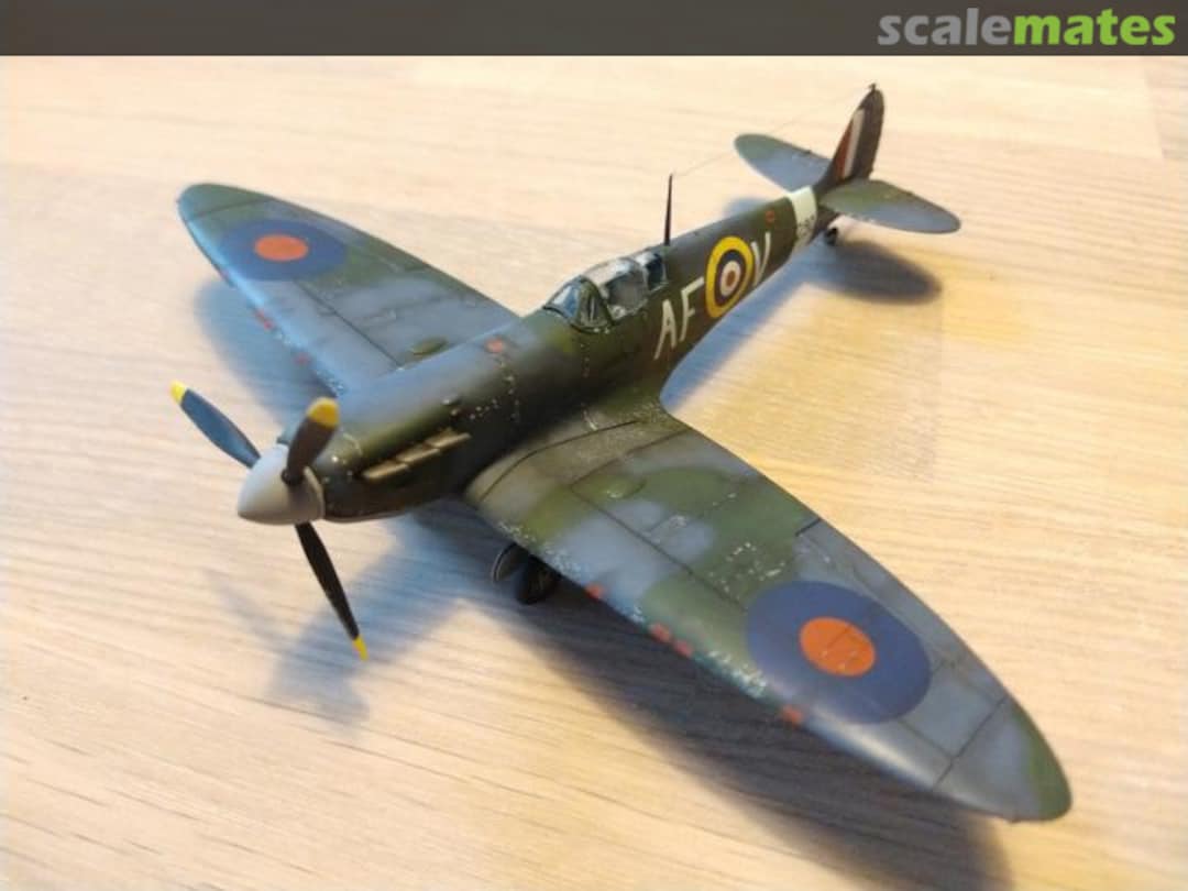 View album, image #1