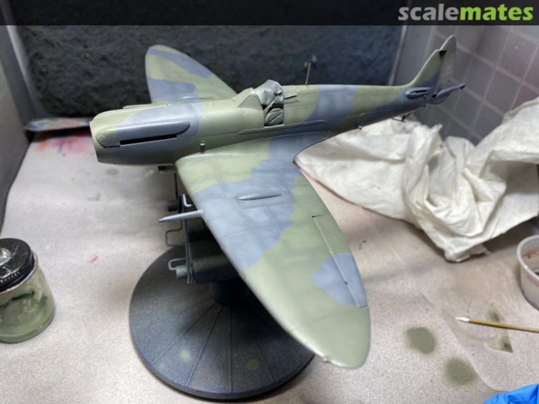 View album, image #6