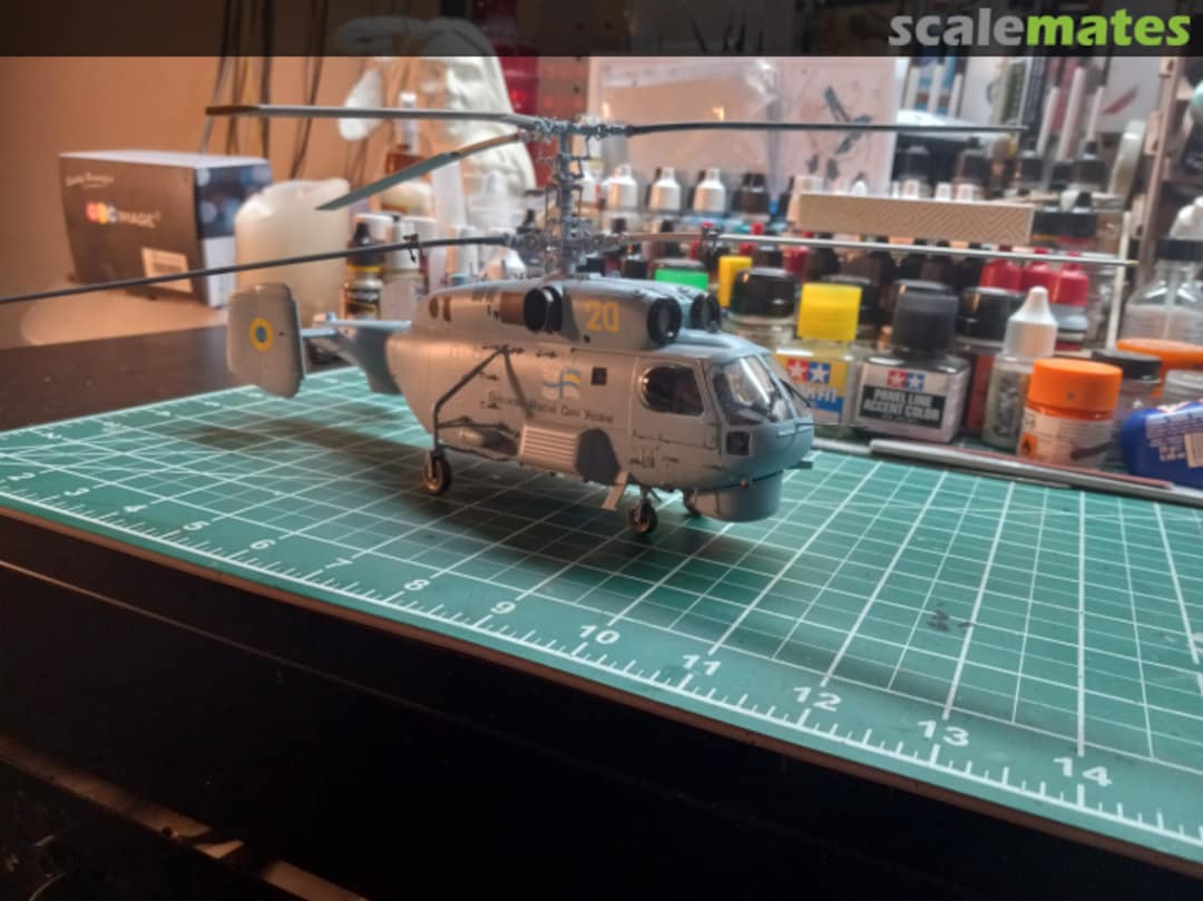 View album, image #11 View album, image #11