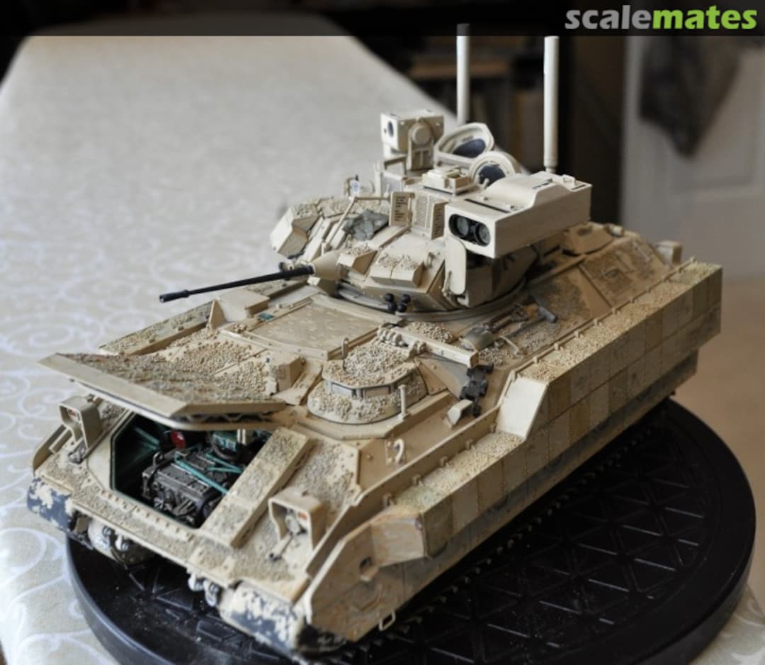 View album, image #1 View album, image #1