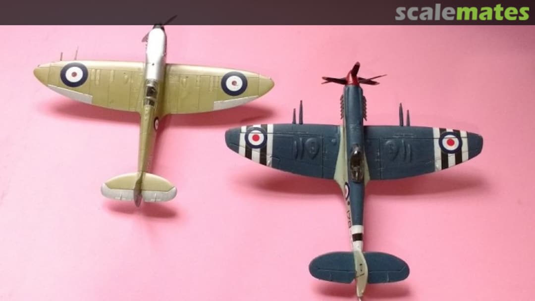 View album, image #19 View album, image #19