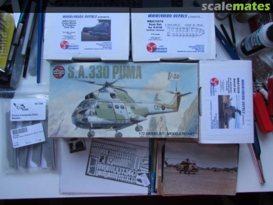 View album, image #1 View album, image #1