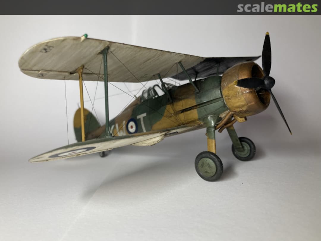 View album, image #1