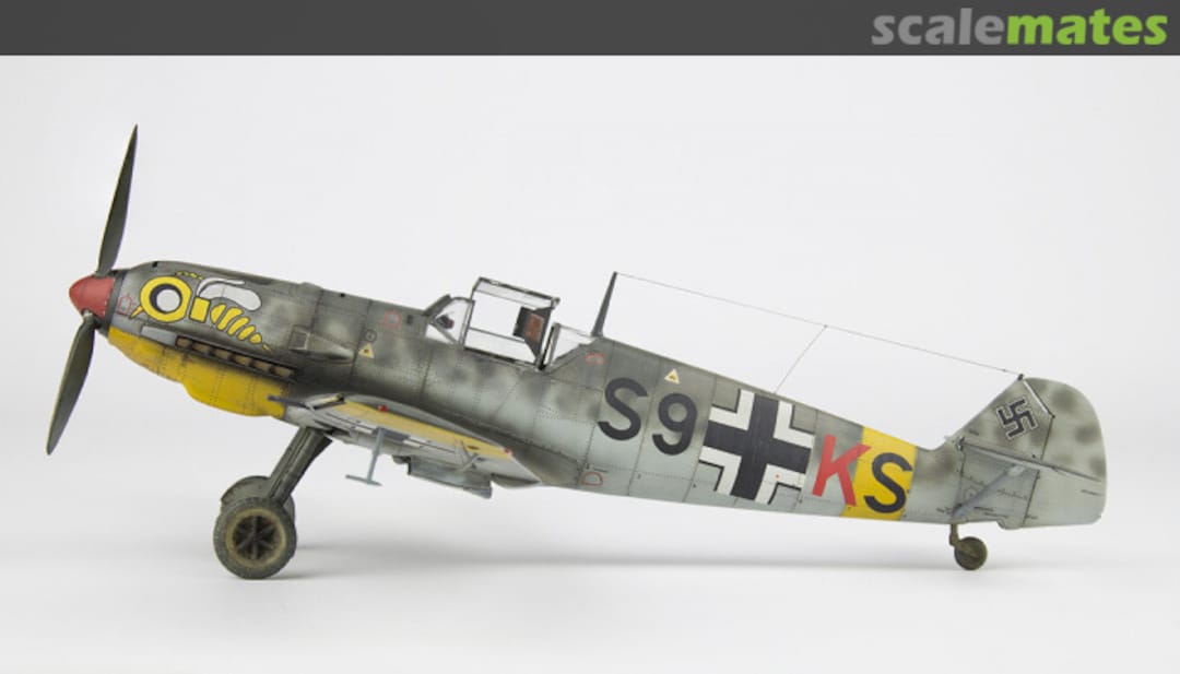 View album, image #1 View album, image #1