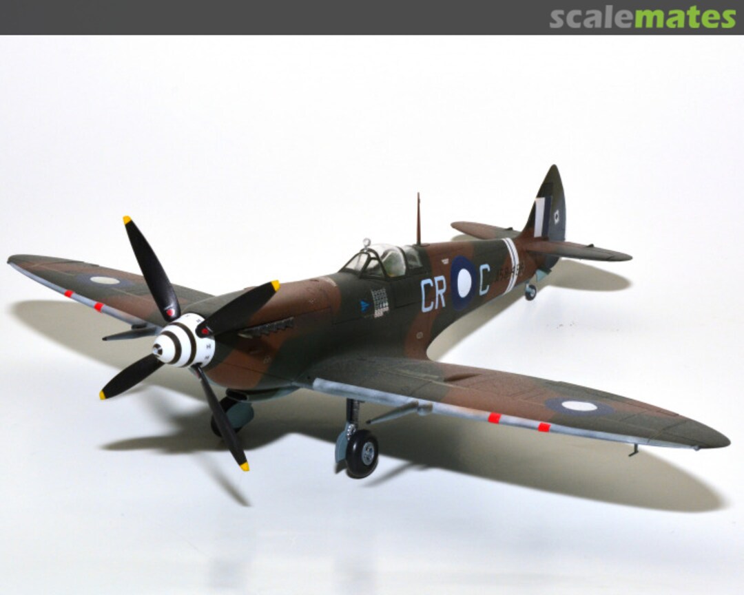 View album, image #1 View album, image #1