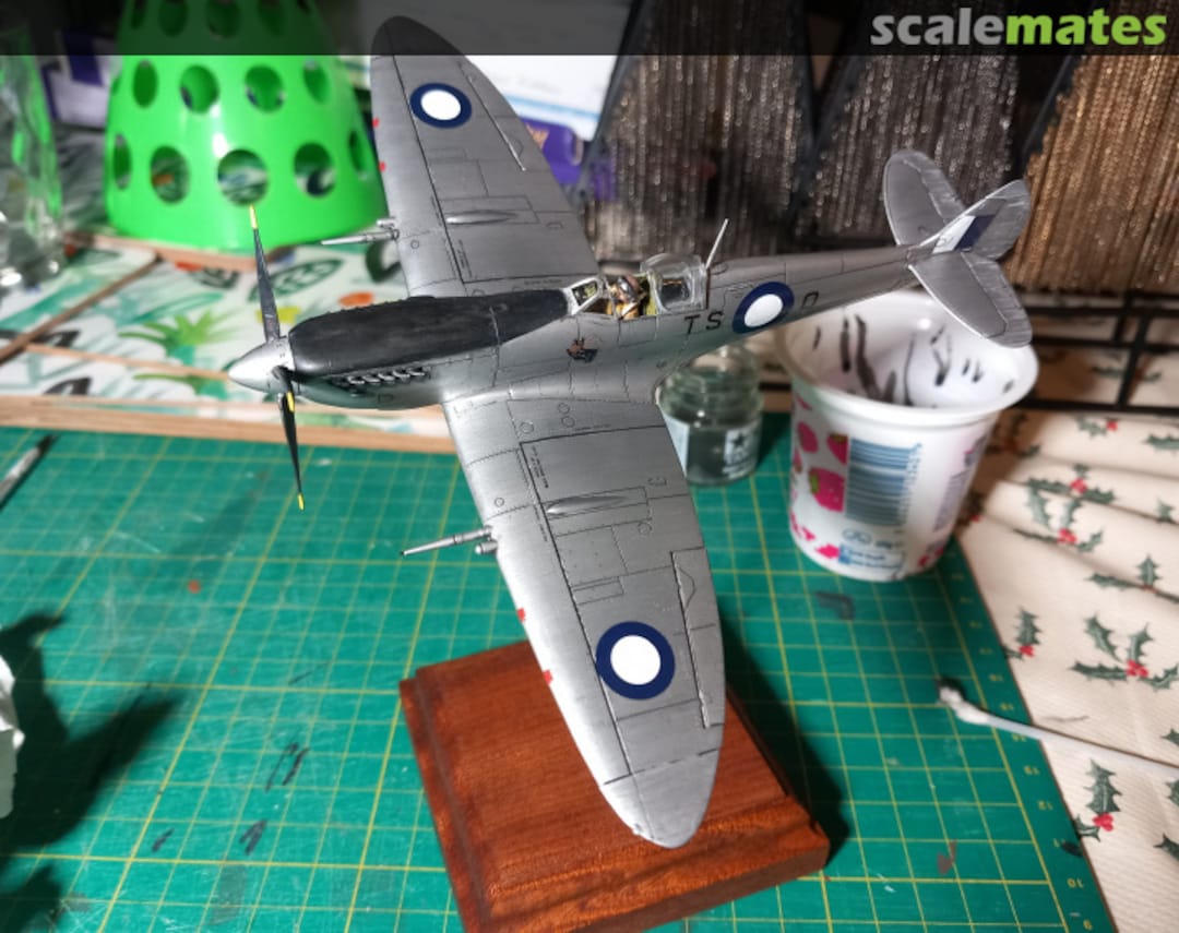 View album, image #5