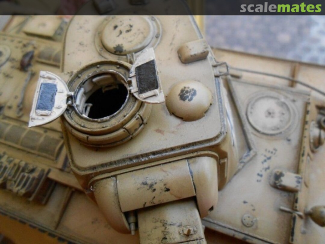 View album, image #1 View album, image #1