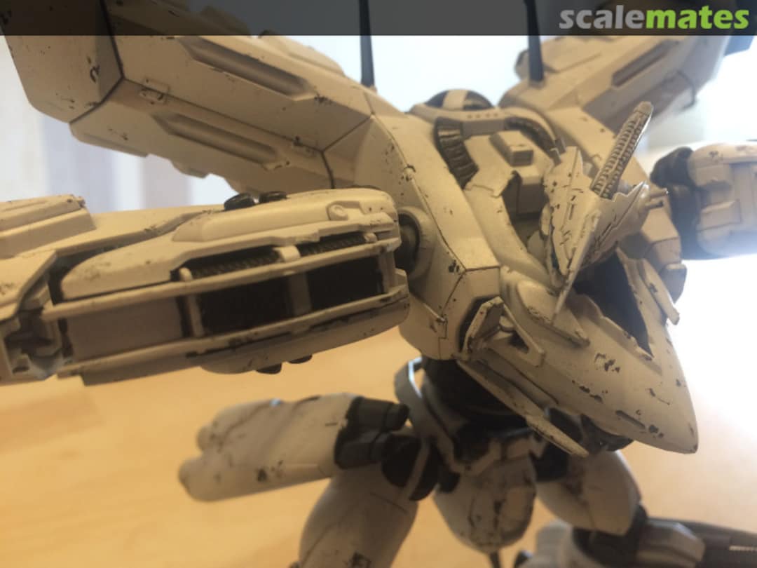 View album, image #45 View album, image #45