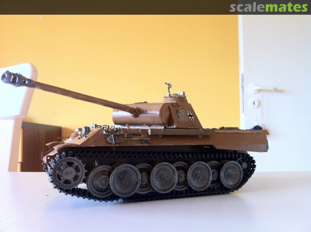 View album, image #1