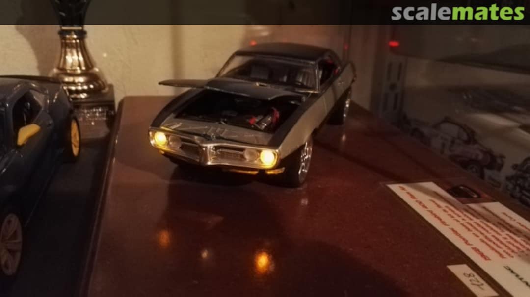 View album, image #22 View album, image #22