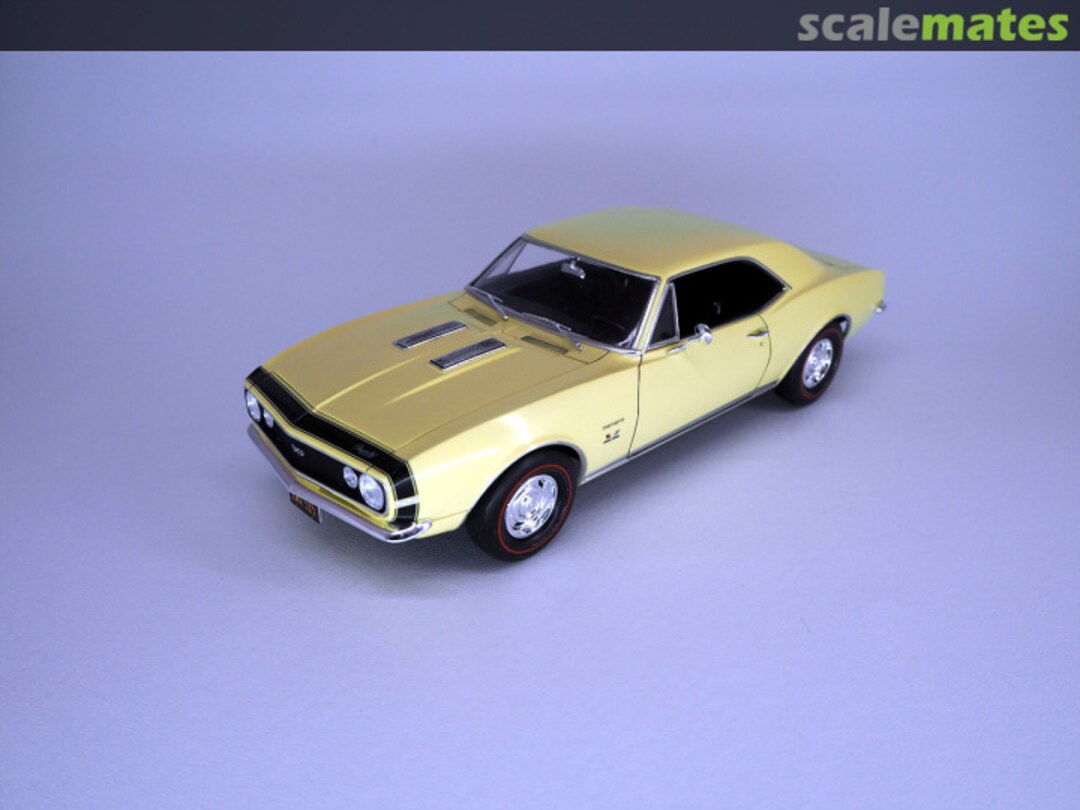 View album, image #1 View album, image #1