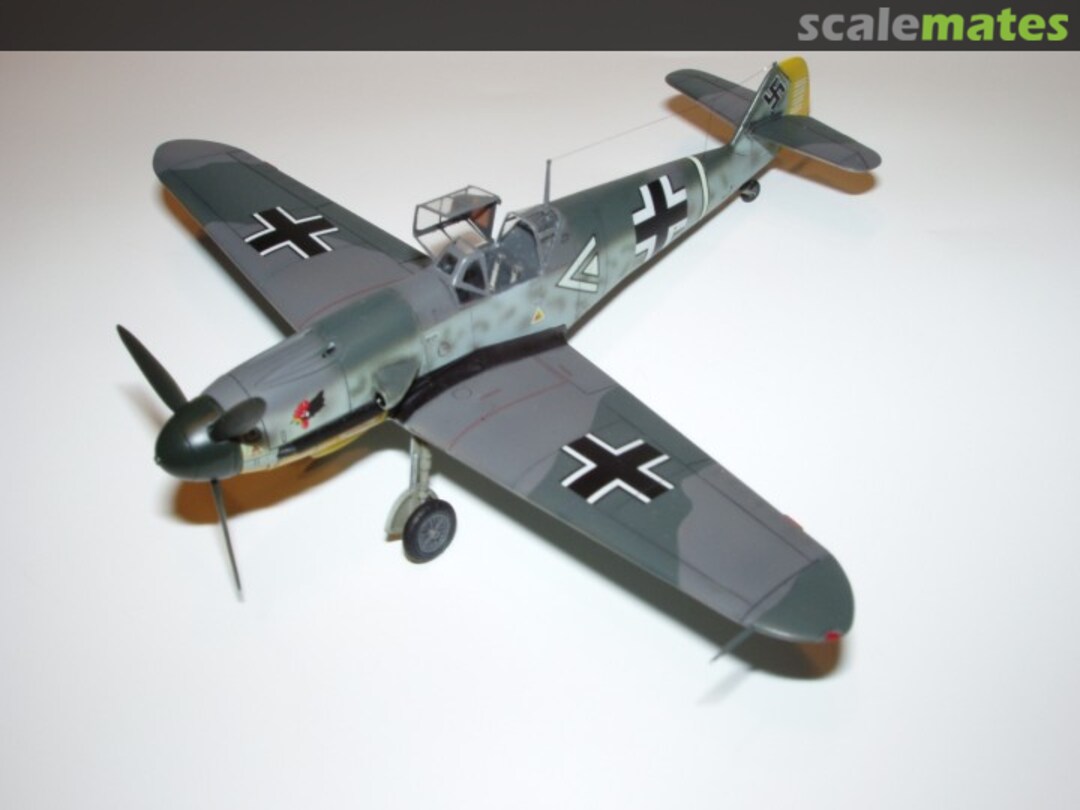 View album, image #1 View album, image #1