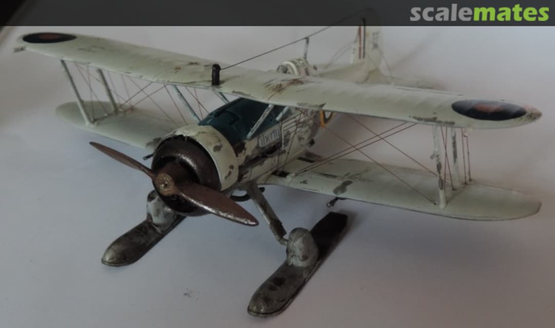 View album, image #5 View album, image #5