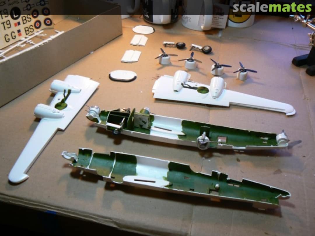 View album, image #1 View album, image #1