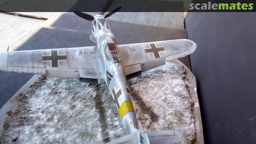 View album, image #1 View album, image #1