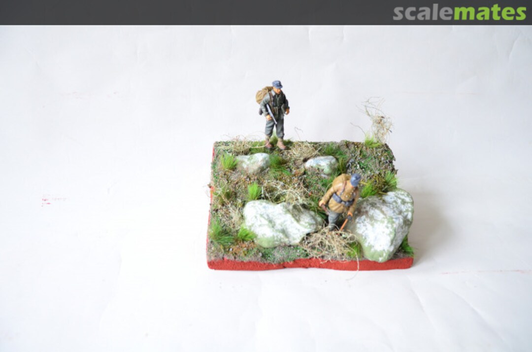 View album, image #1 View album, image #1