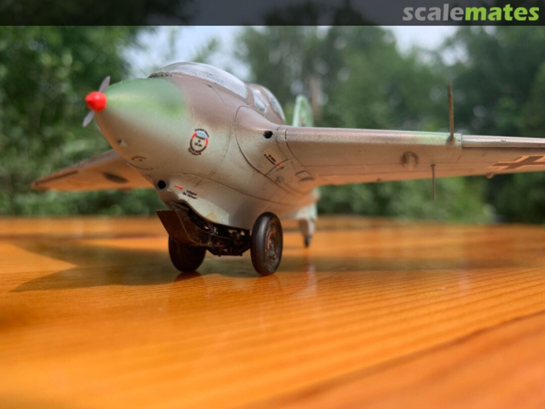 View album, image #57 View album, image #57