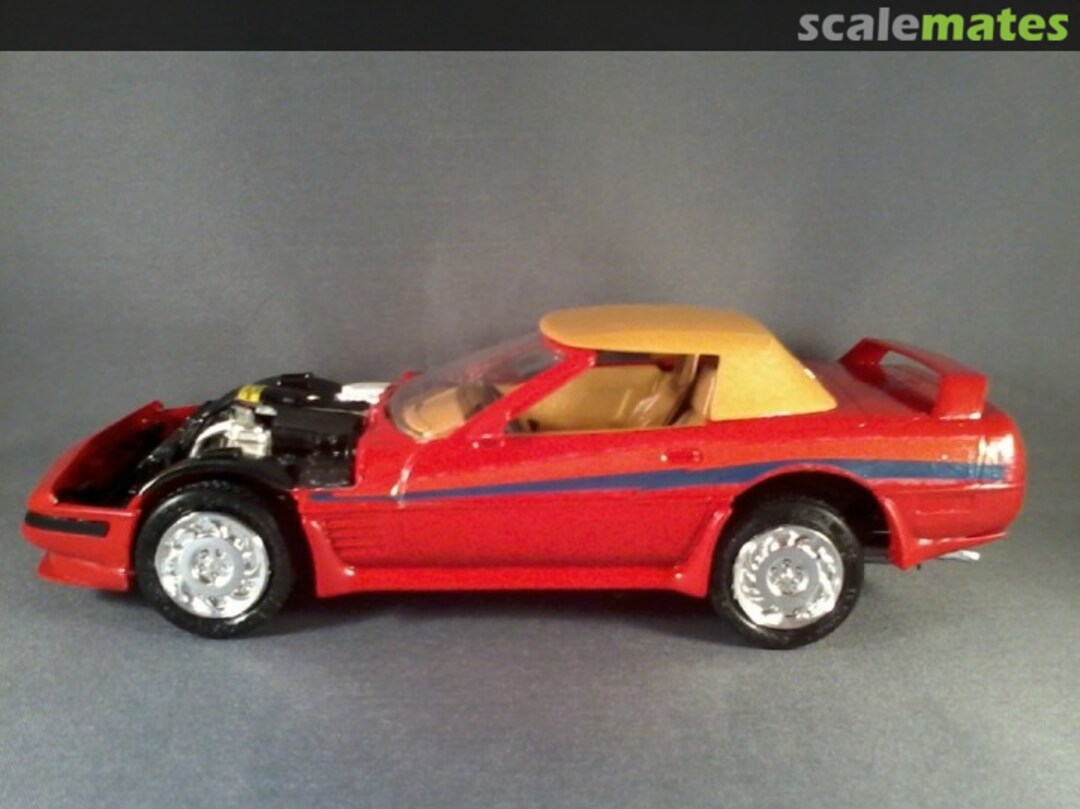 View album, image #6 View album, image #6