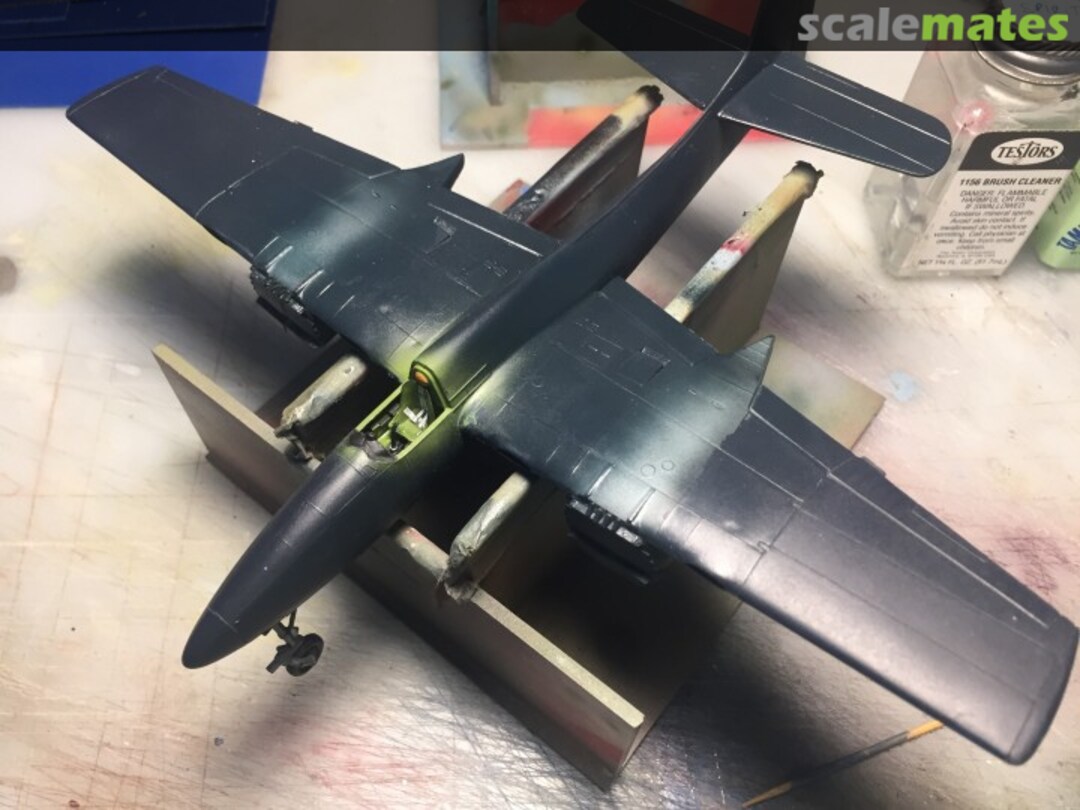 View album, image #1 View album, image #1