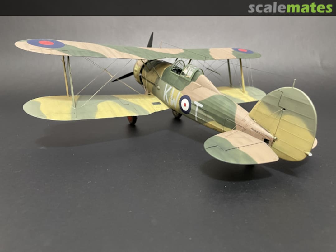 View album, image #1