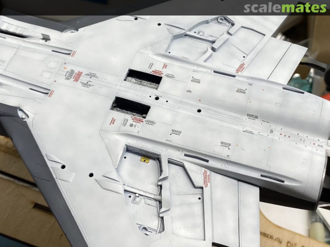 View album, image #99 View album, image #99