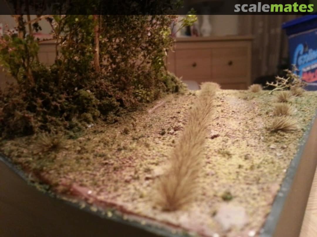 View album, image #1