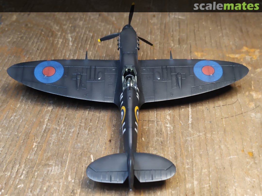 View album, image #1 View album, image #1