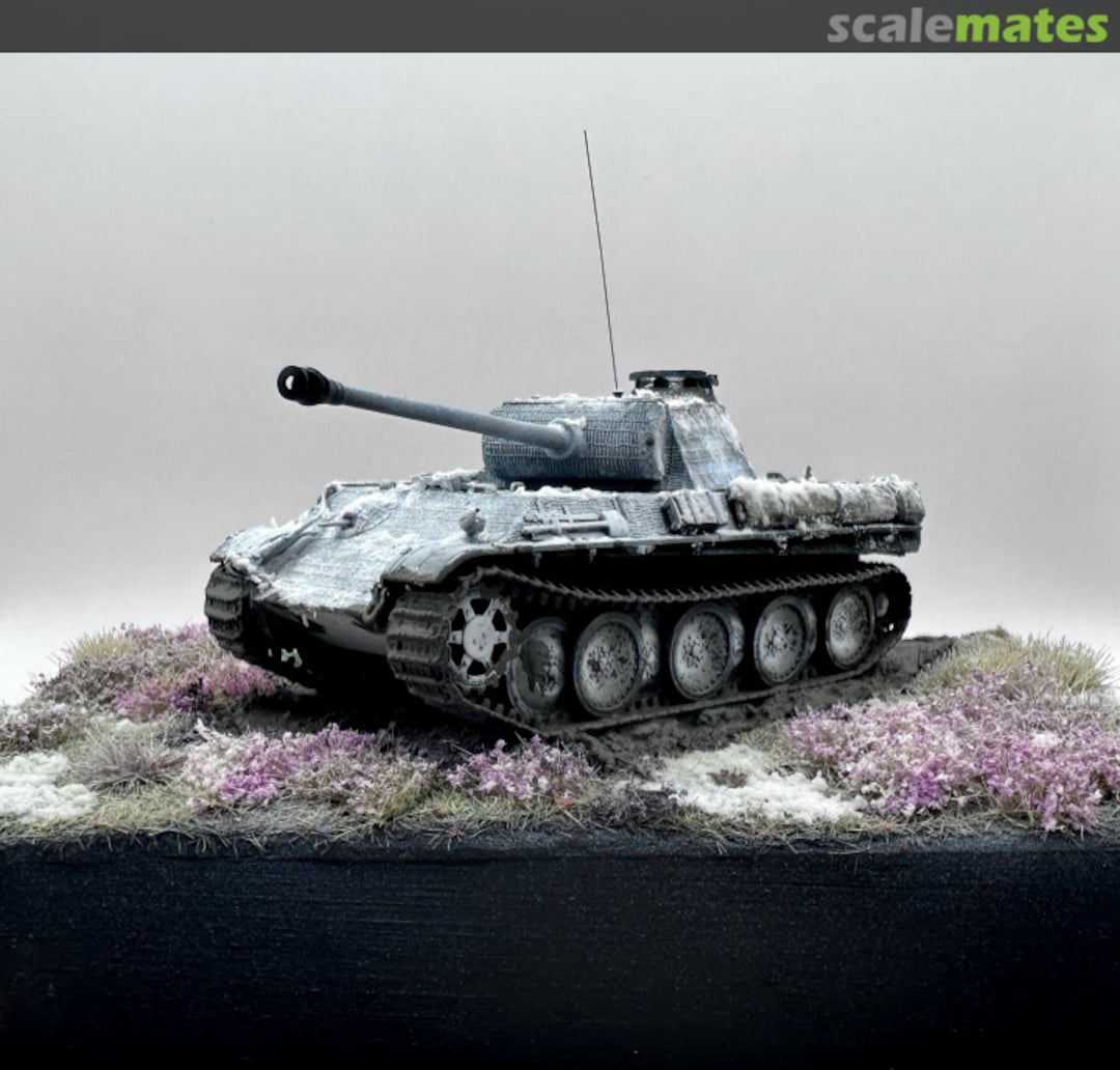 View album, image #1