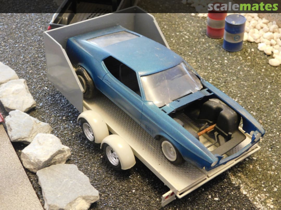 View album, image #1 View album, image #1