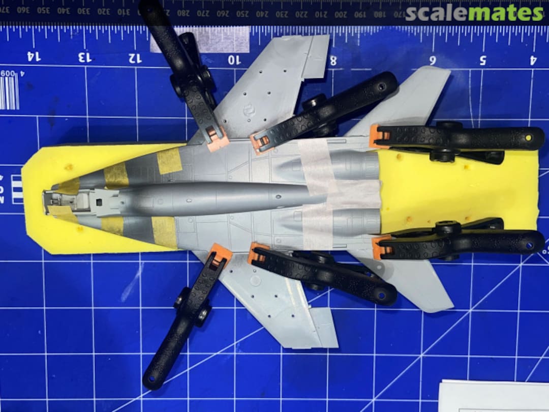 View album, image #5 View album, image #5