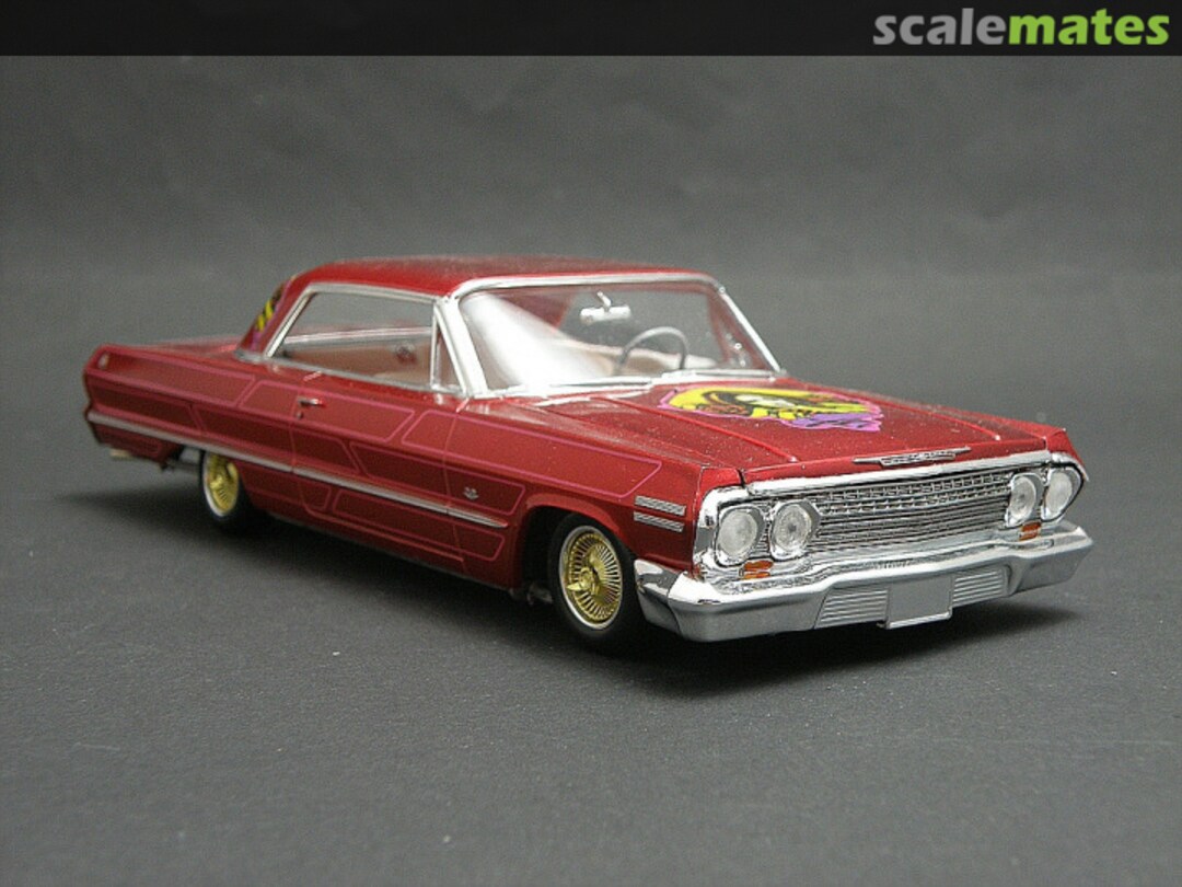 View album, image #1 View album, image #1