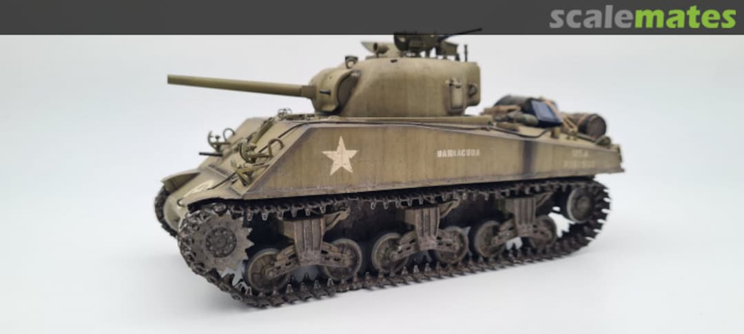 View album, image #1 View album, image #1