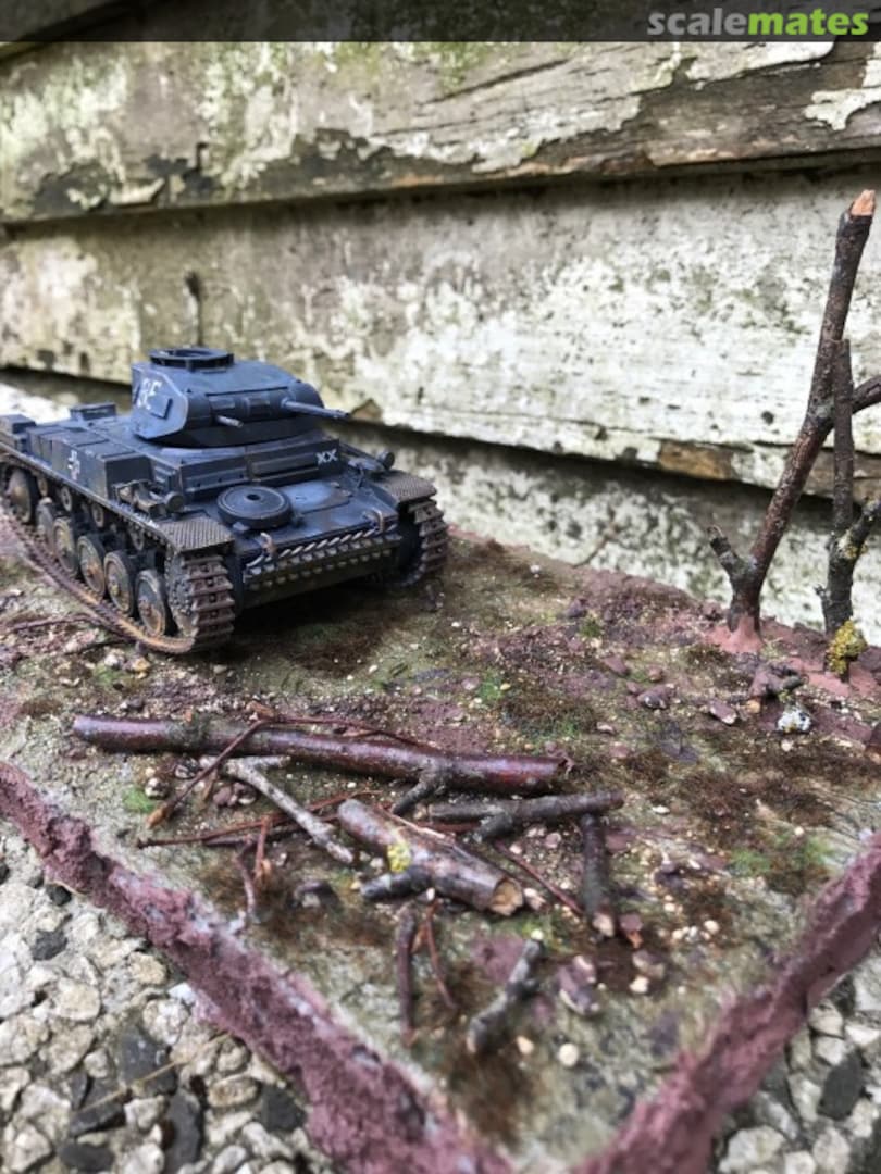 View album, image #1 View album, image #1