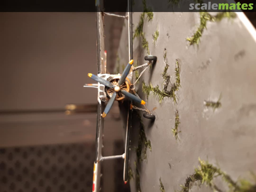 View album, image #65 View album, image #65