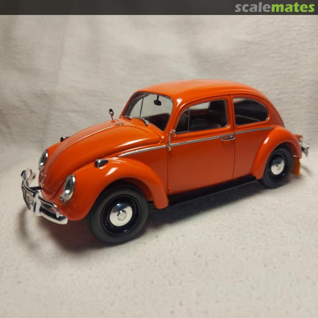 View album, image #1 View album, image #1