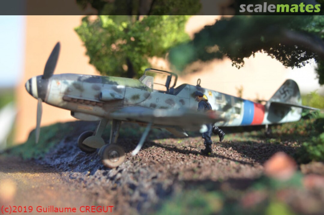 View album, image #1