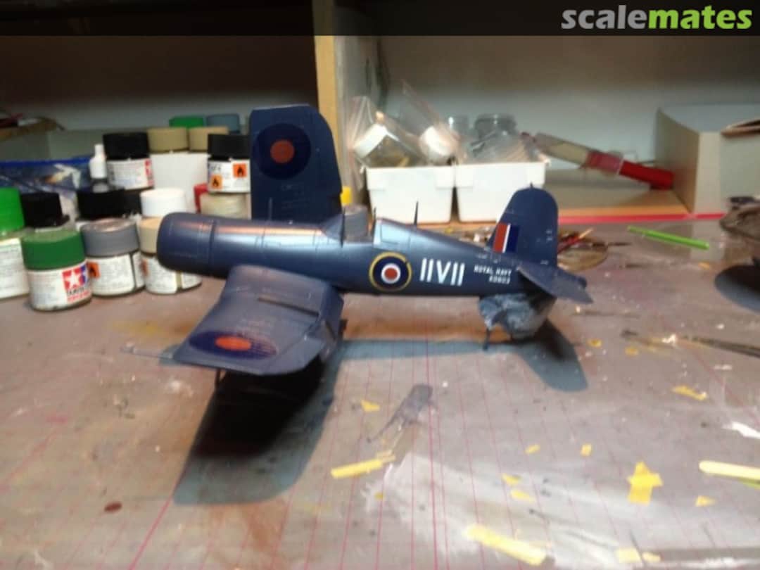 View album, image #14 View album, image #14